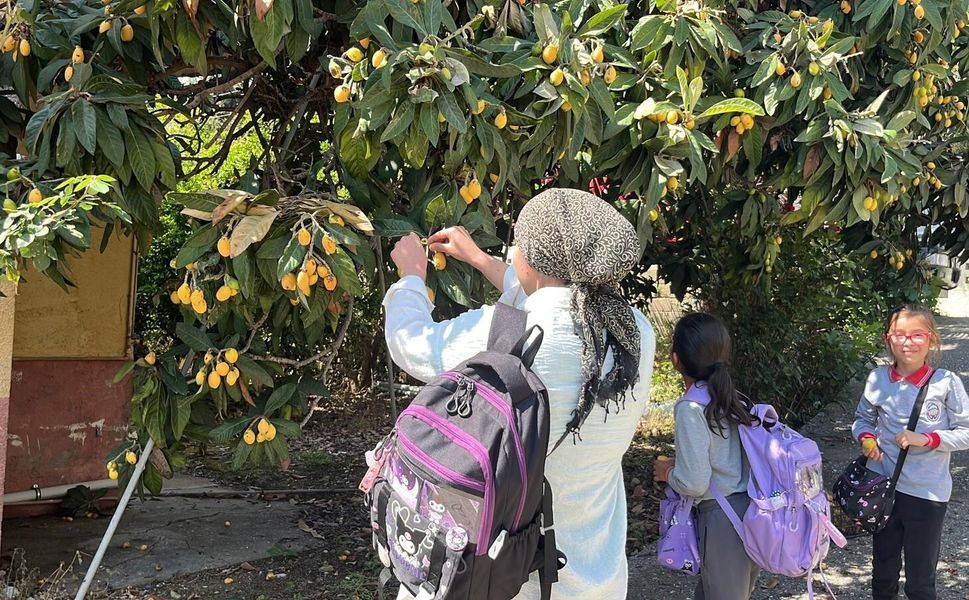 Talep azalınca bedava dağıttı, poşetini alan bahçeye koştu