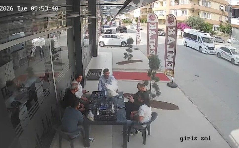 Sohbet masasına düşen davetsiz misafir kısa süreli paniğe neden oldu