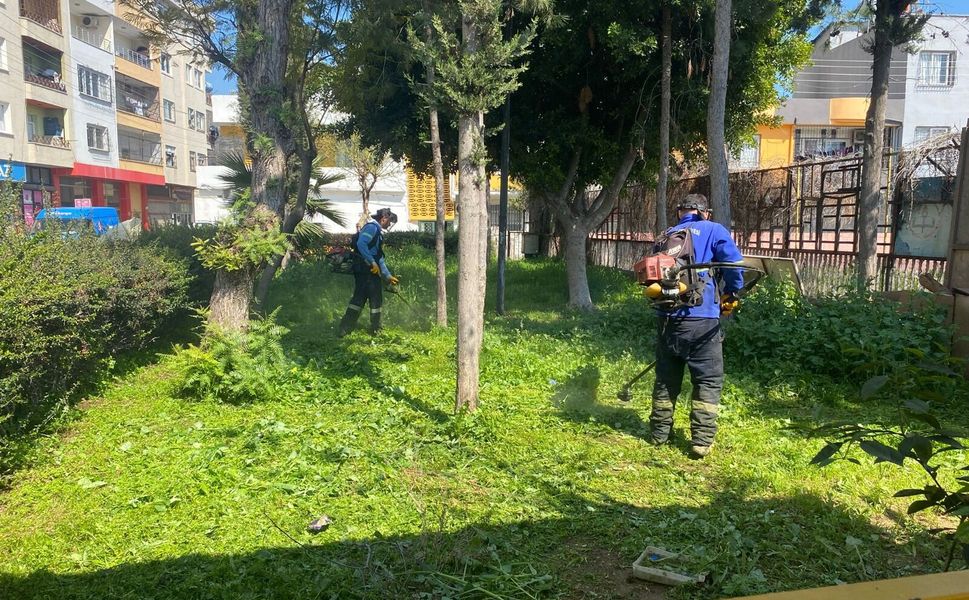 Akdeniz’de yeşil seferberlik