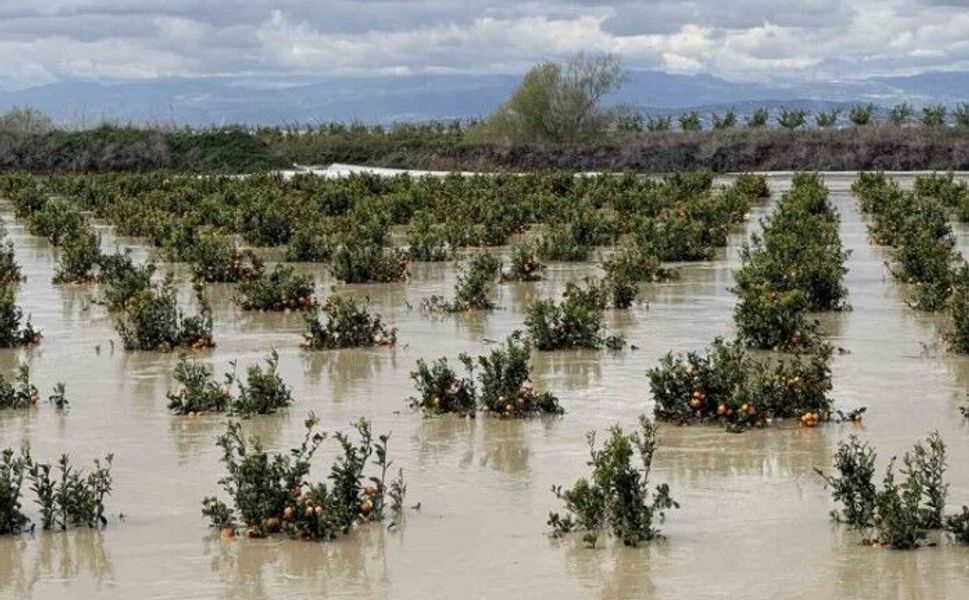 Mersin’de üreticilere kritik uyarı