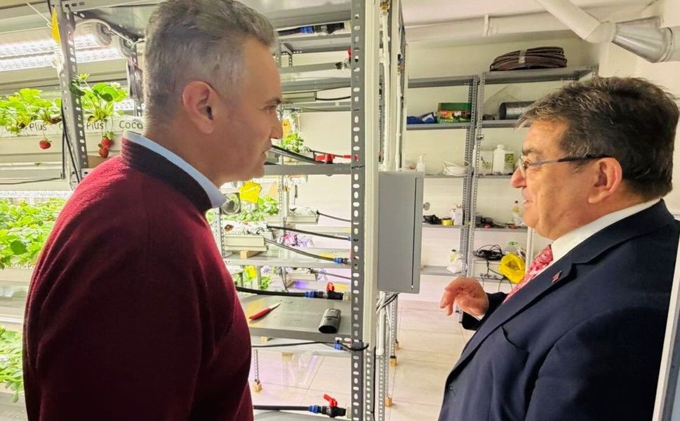 Mersin’de kontrollü ortamda kesintisiz çilek üretimi yapılıyor