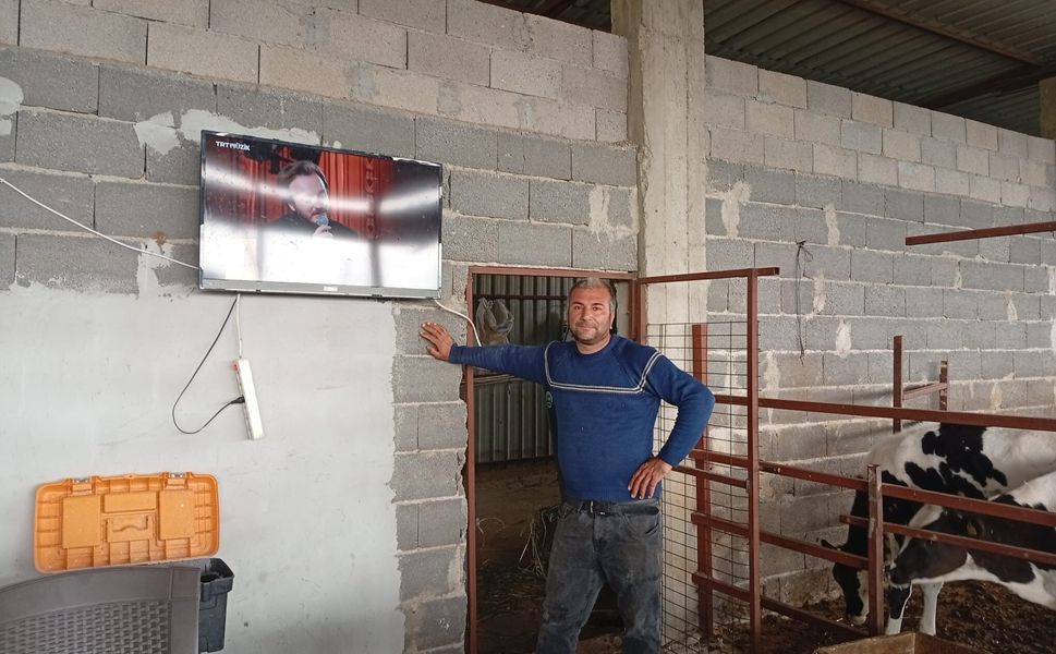 TRT Müzik kanalıyla süt verimini artırmaya çalışıyor