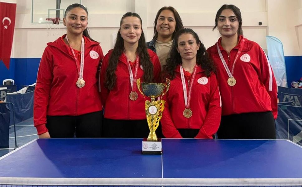 Tarsus Kız Öğrenci Yurdu, Türkiye Finalleri yolunda