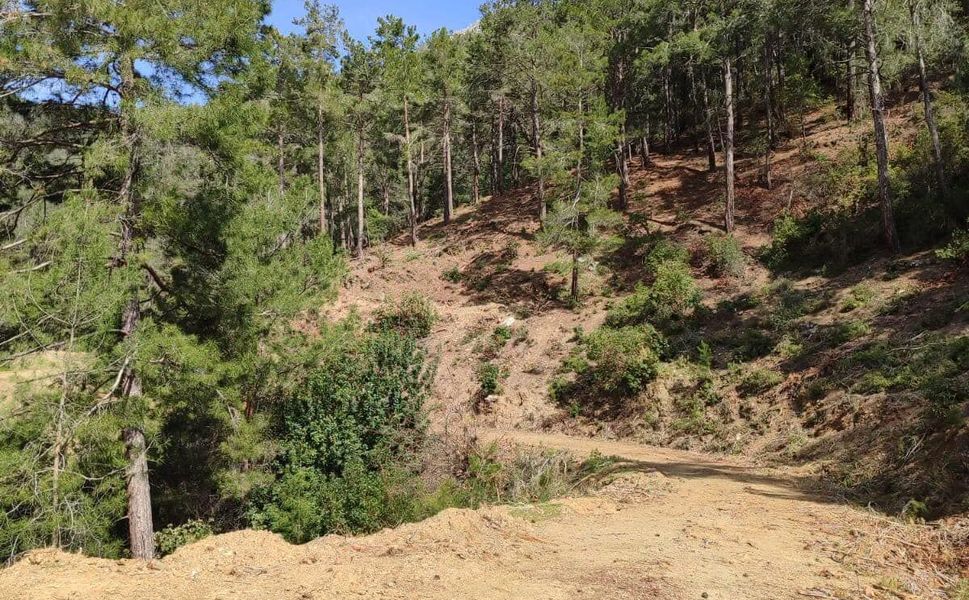 Anamur, Kızılaliler’de boksit ve beton kıskacı