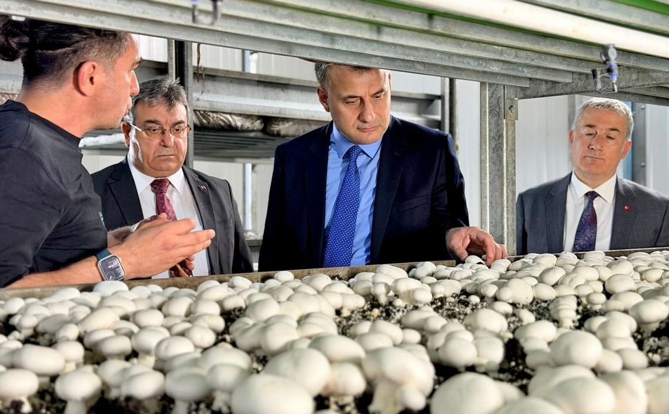 Yeşil enerjiyle büyüyen üretim: Toroslar’da başarı hikayesi