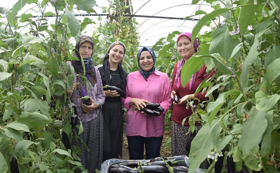 Nineden toruna aile ekonomisine katkı sağlıyorlar
