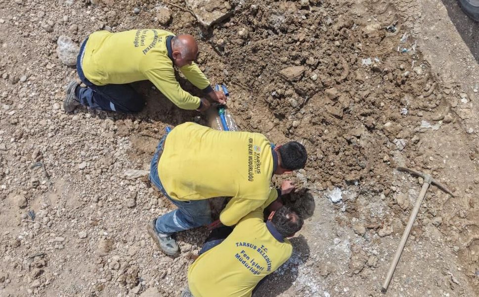 30 dönümlük alanda kurban satışları için hazırlık