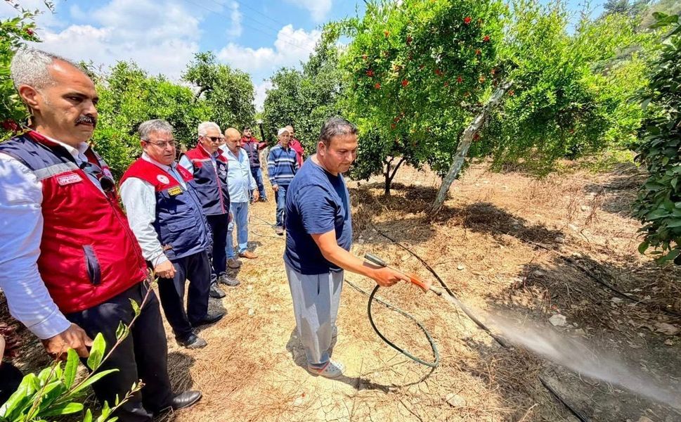 Akdeniz meyve sineğine karşı çalışmalar devam ediyor