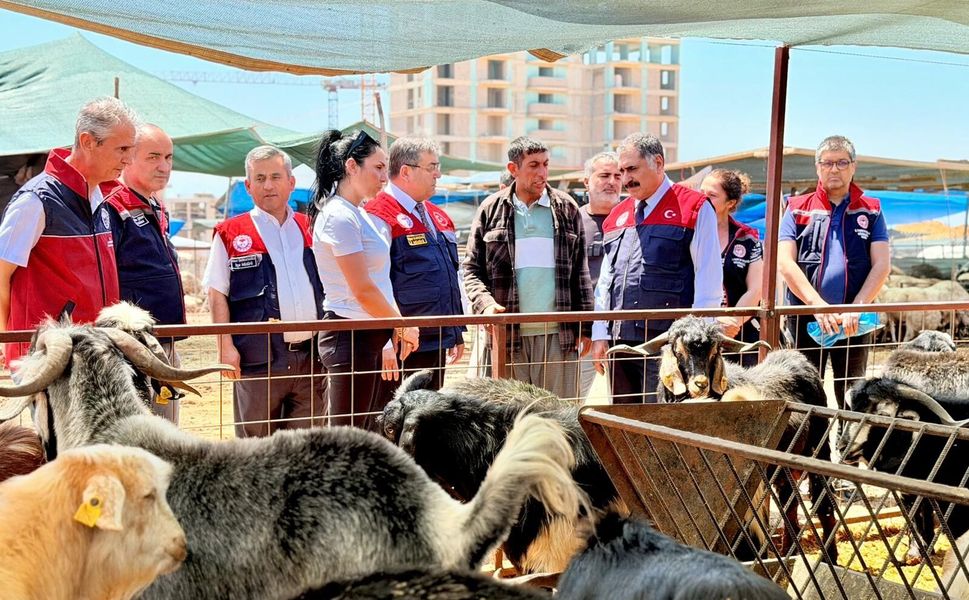 Mersin’de Kurban Bayramı öncesi satış noktalarında sıkı denetim