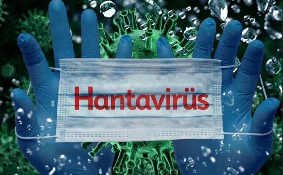 Hantavirüs şikayetleri artıyor