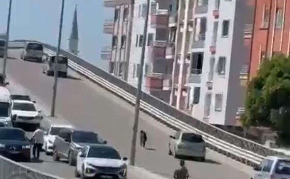 Mersin'de Kaçan keçi, trafiği birbirine kattı