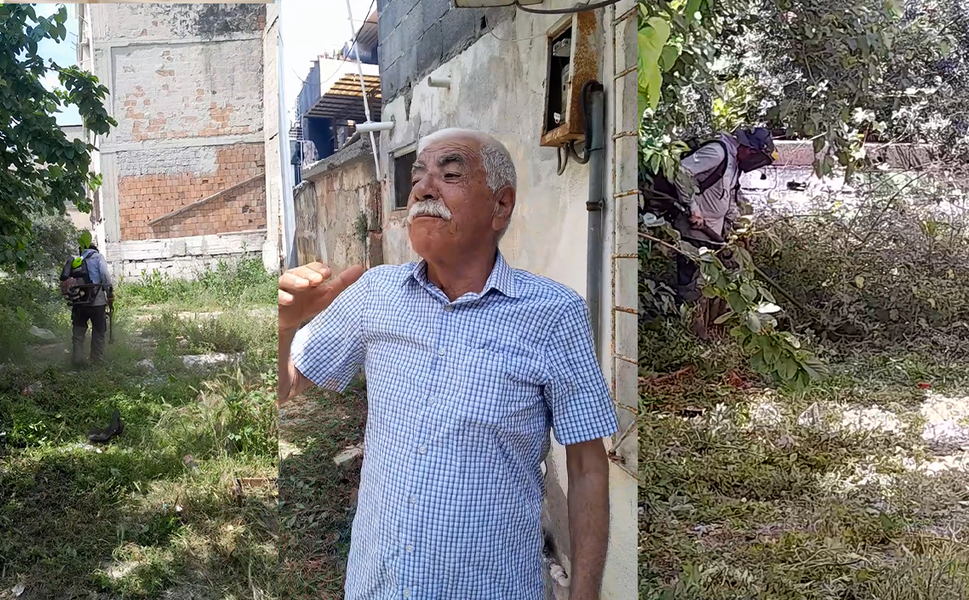 Kiremithane Mahallesi’nde yabani otlara karşı temizlik seferberliği