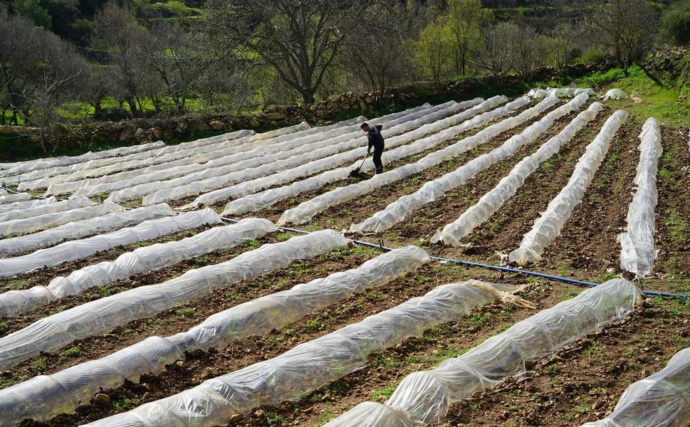 Tasarruflu Sulamada Hibe Desteği Dönemi Başladı!