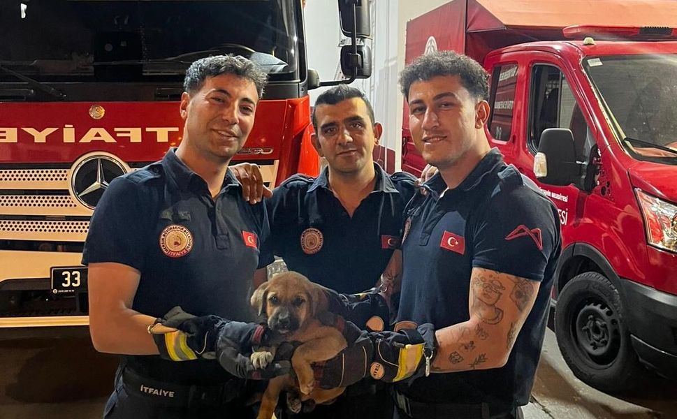Otomobil motoruna sıkışan köpeği, Mersin itfaiyesi kurtardı