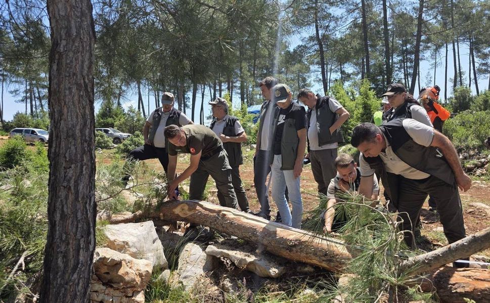 Orman Bölge Müdüründen ormancılık faaliyetlerine denetim