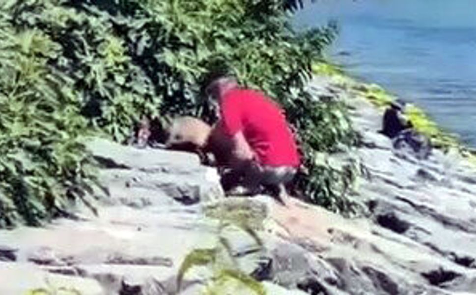 Köpeğe dakikalarca eziyet etti, görüntüler tepki çekti