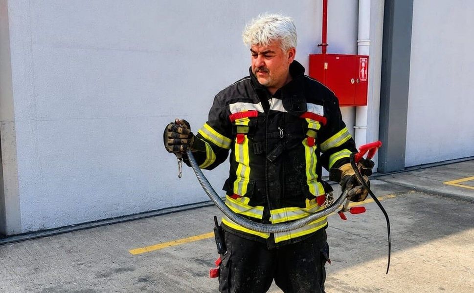 Sıcaklarla birlikte Mersin'de son 1,5 ayda 184 yılan vakası