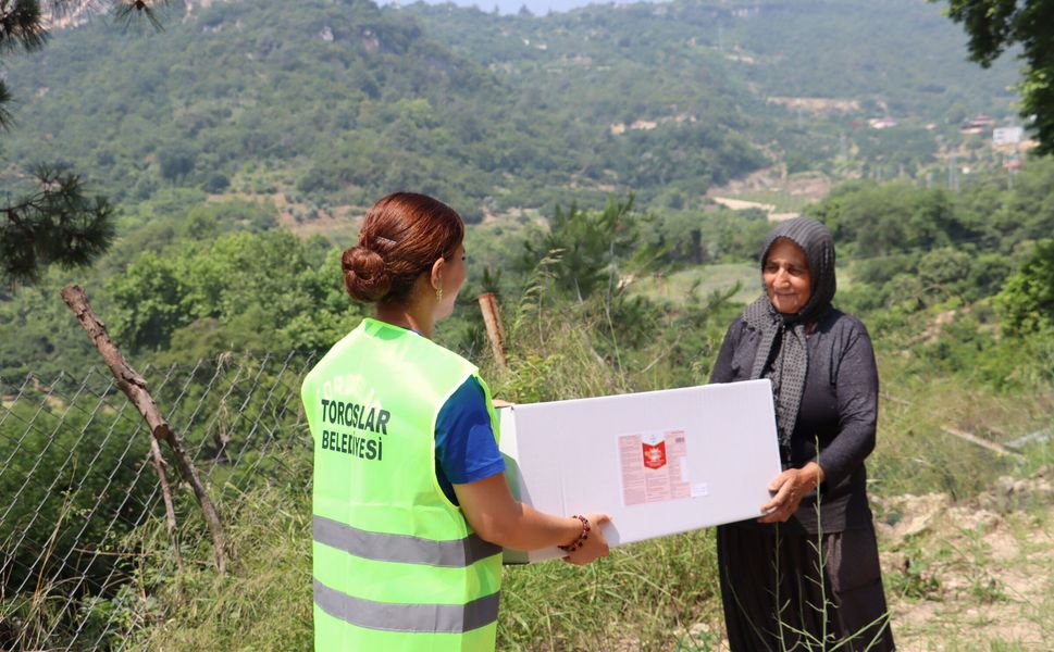 Toroslar Belediyesi’nden Akdeniz meyve sineğine karşı üreticiye destek