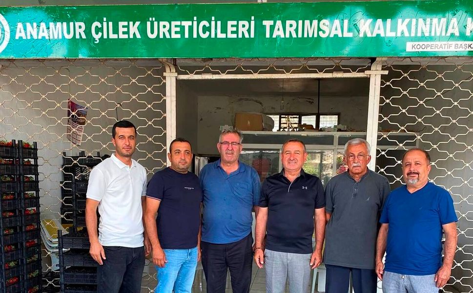Çilek üreticisinden ‘sessizce tükeniyoruz’ feryadı