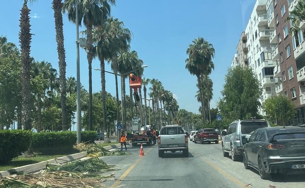 Büyükşehir parkları yaza hazırlıyor