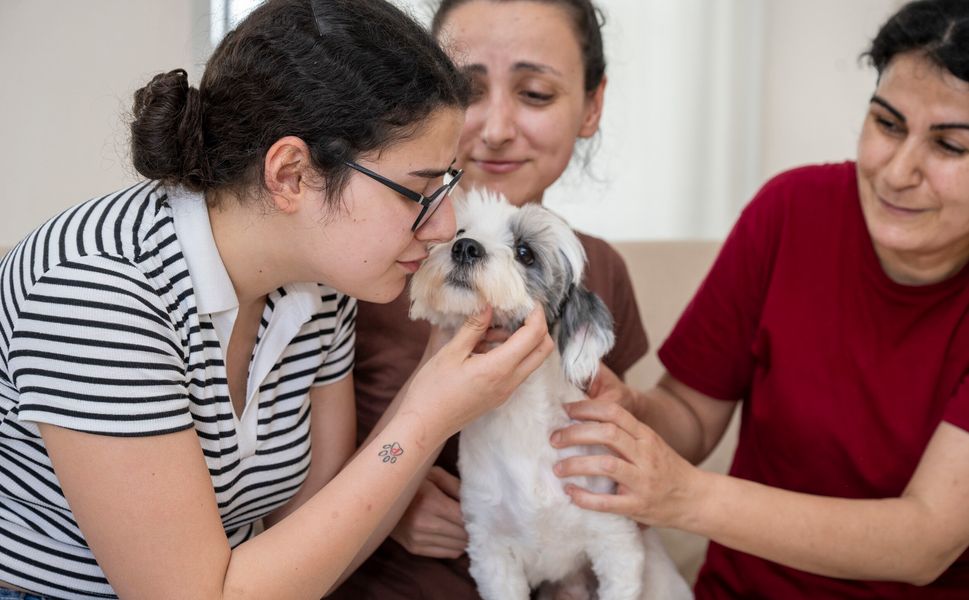 Mersin’de can dostlar için örnek proje