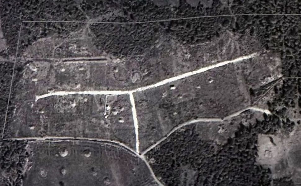 Ormanı bölüşen kamu personeline mahkeme 'dur' dedi