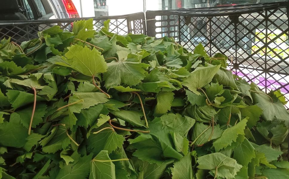 Tarsus'tan Mersin çarşısına gelen asma yaprağına yoğun ilgi