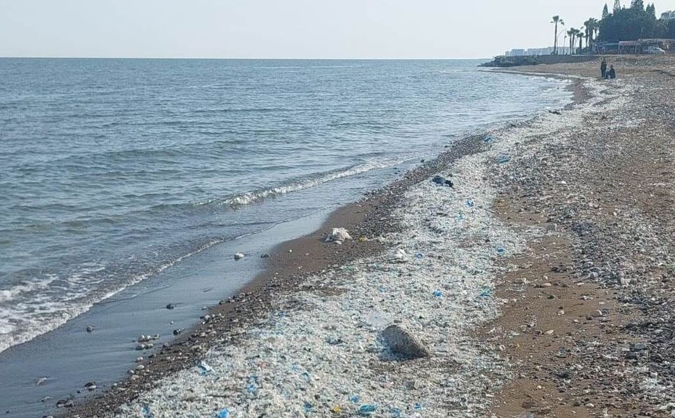 Mersin denizleri için acil çağrı