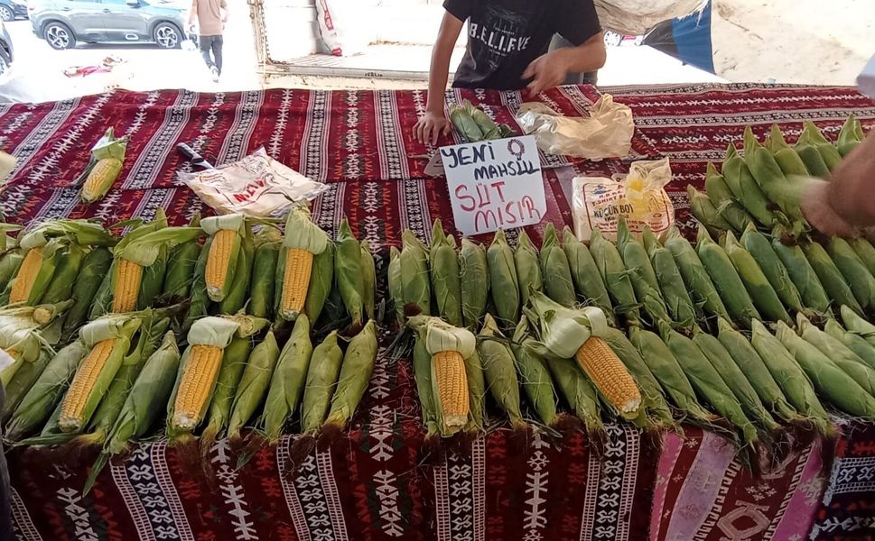 Mısır üreticisi temkinli ama umutlu