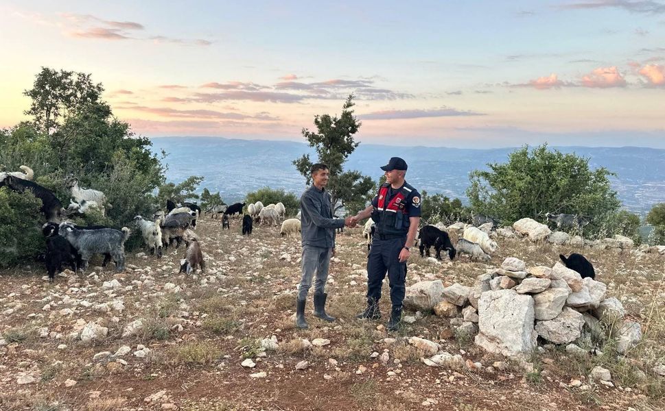 Kaybolan küçükbaş hayvanlar drone yardımıyla bulundu