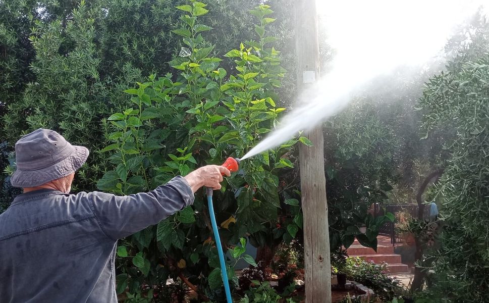 Mersin’de ağaçlarda ilaçlama mesaisi başladı
