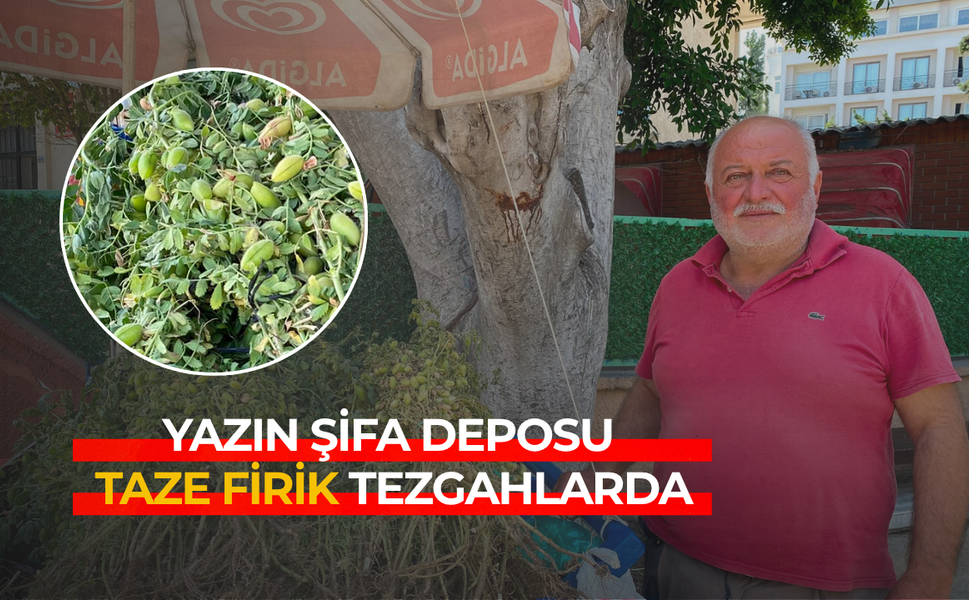 Yazın şifa deposu taze firik tezgahlarda