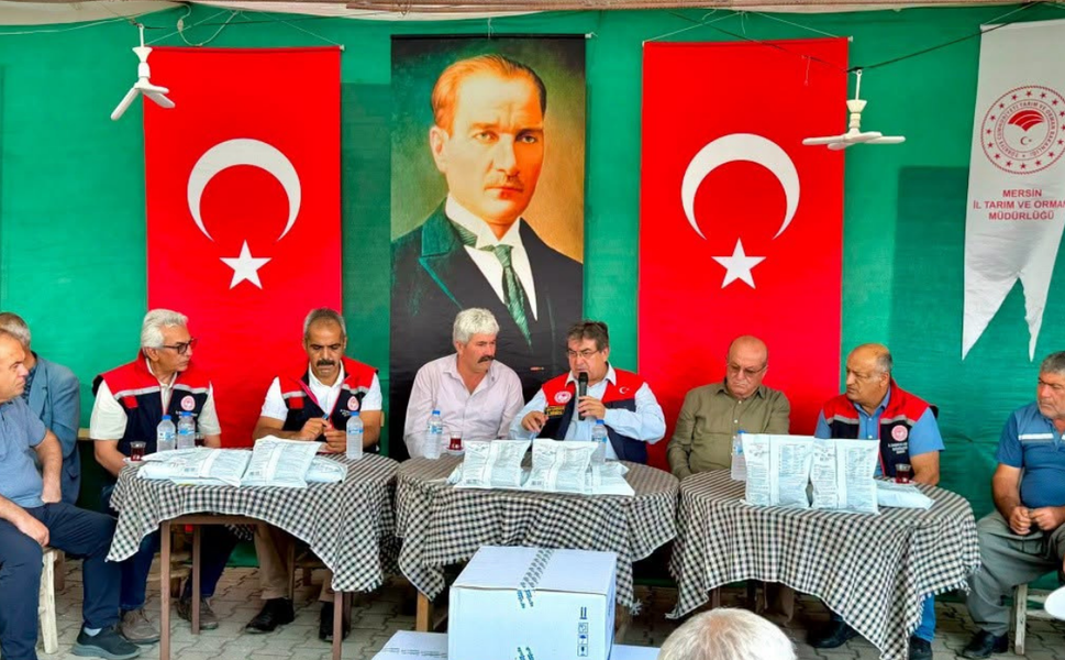 Mersin'de Akdeniz meyve sineğiyle mücadele sürüyor