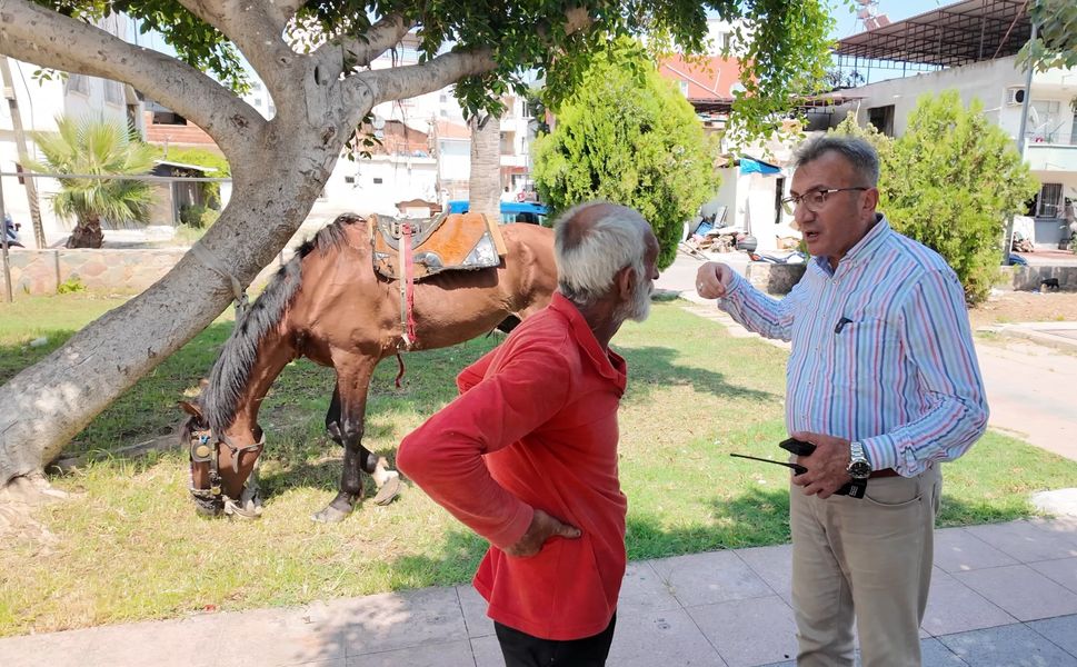 Mersin’de bitkin düşen atın yeni yuvası Antalya oldu