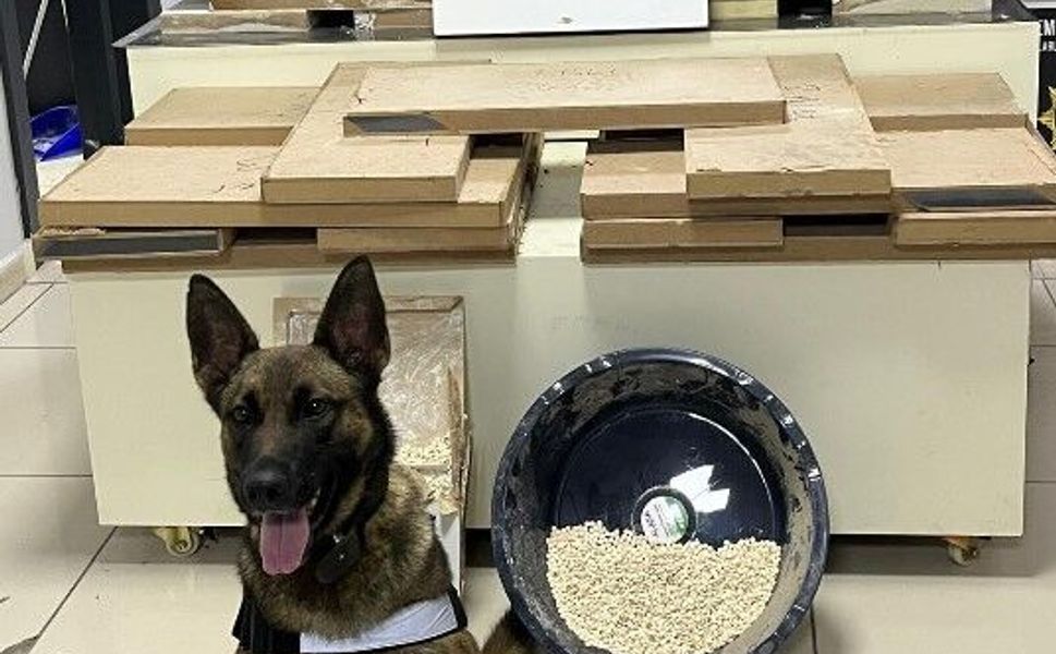 Mersin'de zehir tacirlerine operasyon düzenlendi