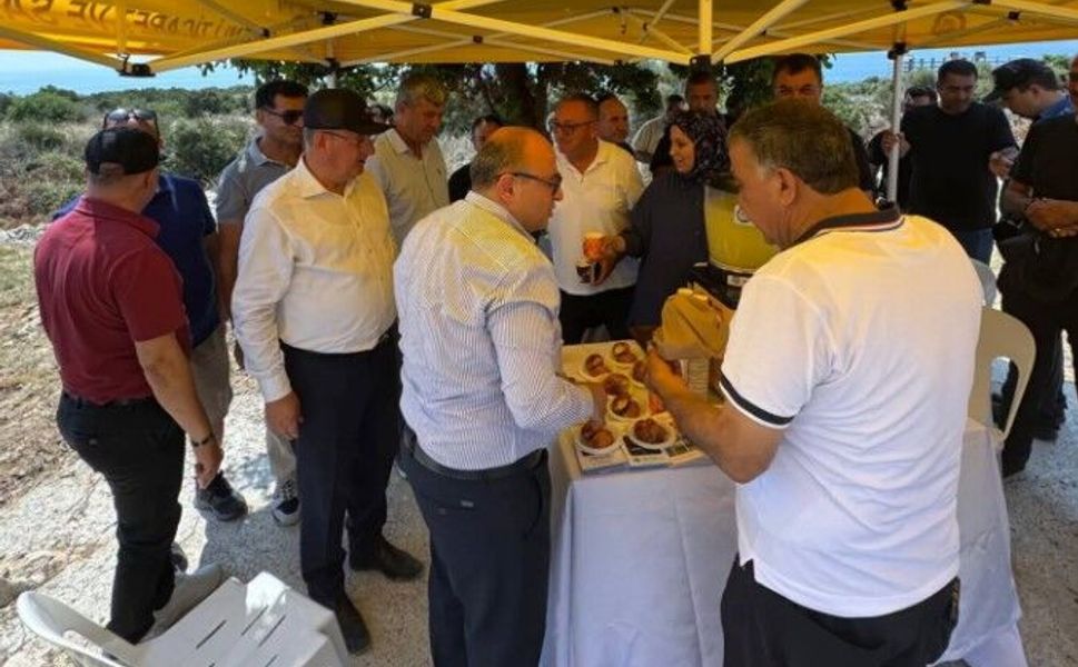Tarihi Roma Yolu'nda temizlik çalışmaları incelendi