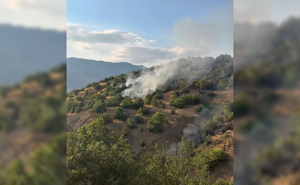 Malatya'da orman yangını 21 saat sonra kontrol altında