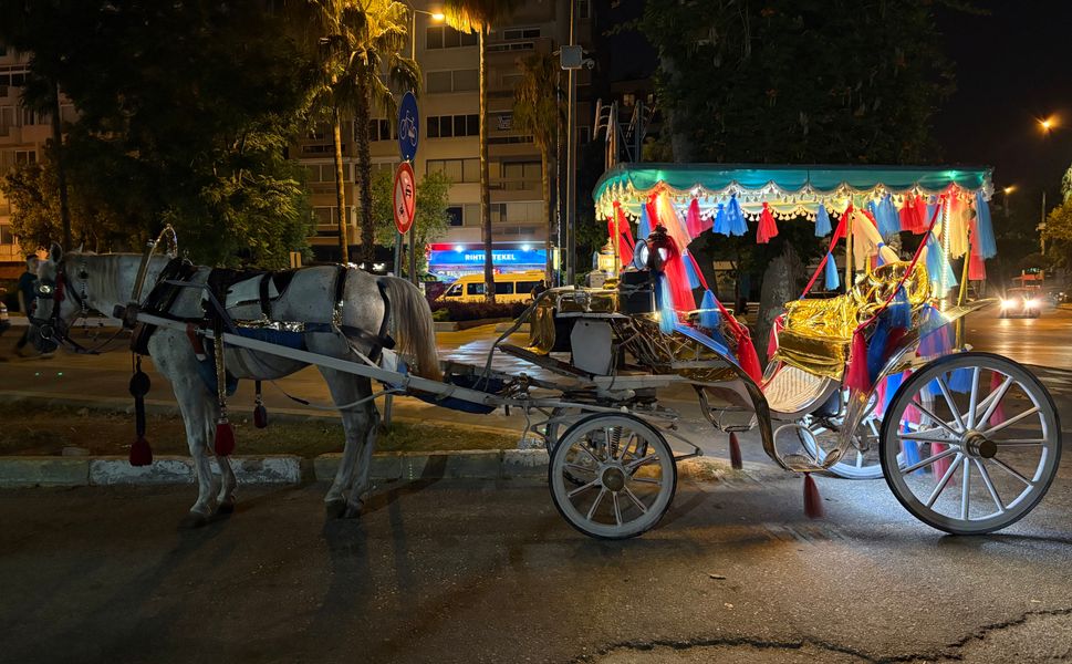 Mersin'de 21. yüzyıla yakışmayan görüntü