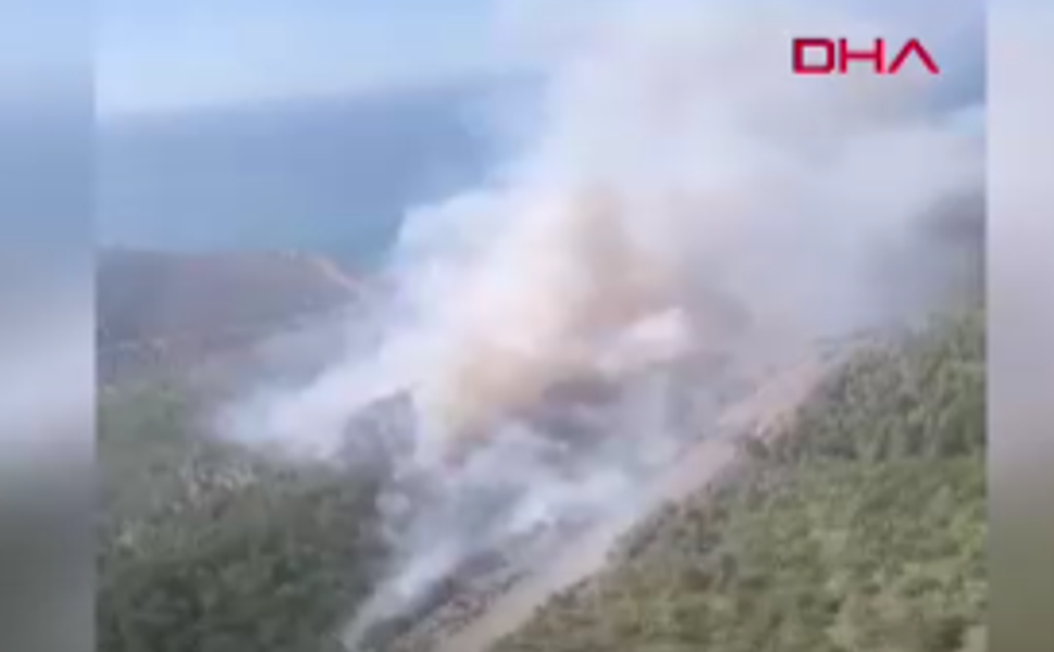 Mersin'de orman yangını başladı!