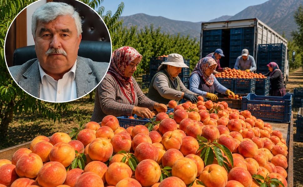 Tepeköy’de şeftali üreticisi maliyetin altında kaldı