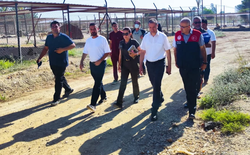 Tarsus geçici hayvan bakımevi temmuz ayı denetlendi