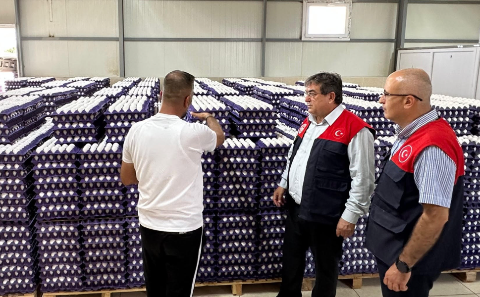 Tarsus'ta günlük 84 bin yumurtalık üretime ziyaret