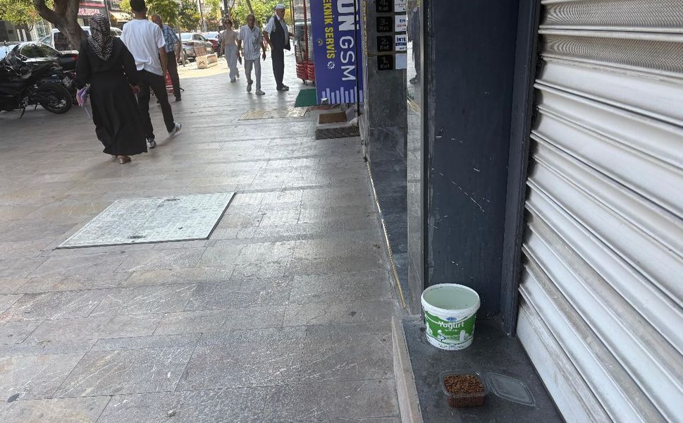 Mersin’de vicdan sokaklara taştı