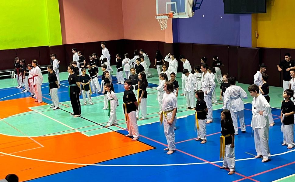 Geleceğin şampiyonları Mezitli’de taekwondo ile yetişiyor