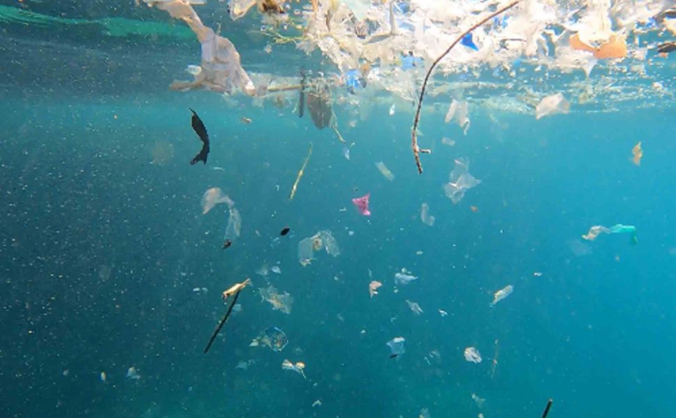 'Akdeniz'deki mikroplastik sorunu çözülmezse turizm sekteye uğrar'