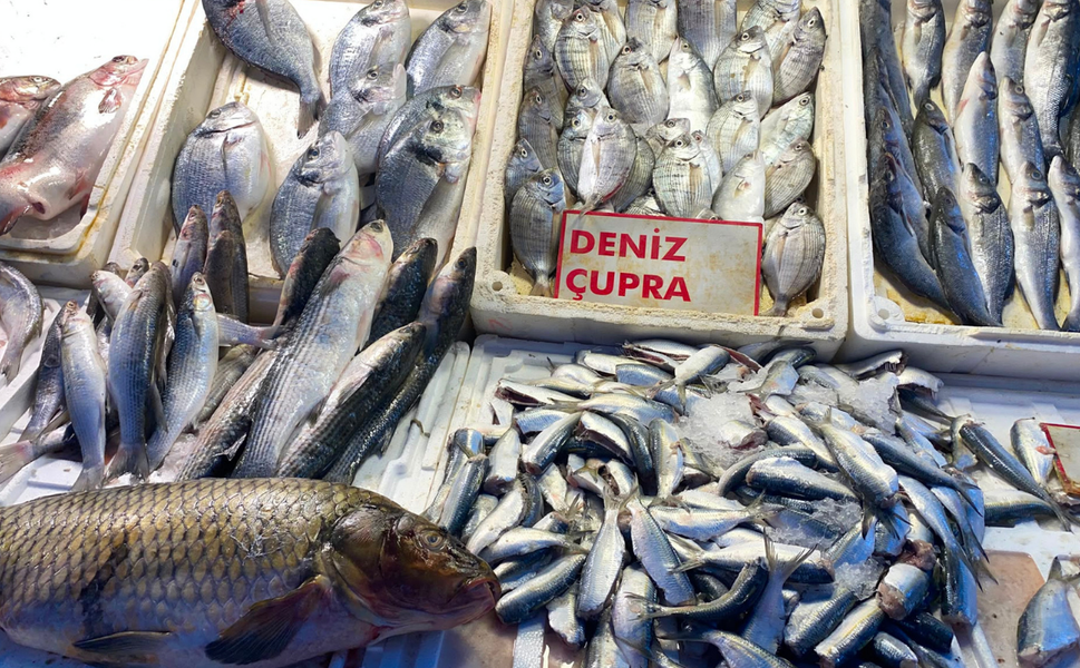 Mersin'de çupranın kilosu 400 TL