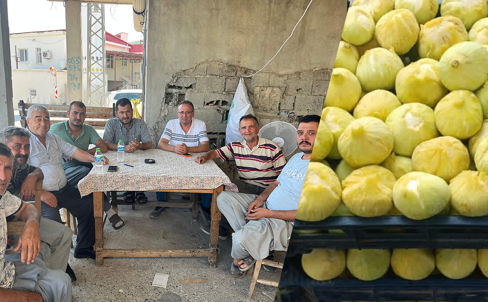 Başkan Veyis Avcı'dan incir üreticisine destek çağrısı:  Maliyetler artarken fiyatlar düşüyor