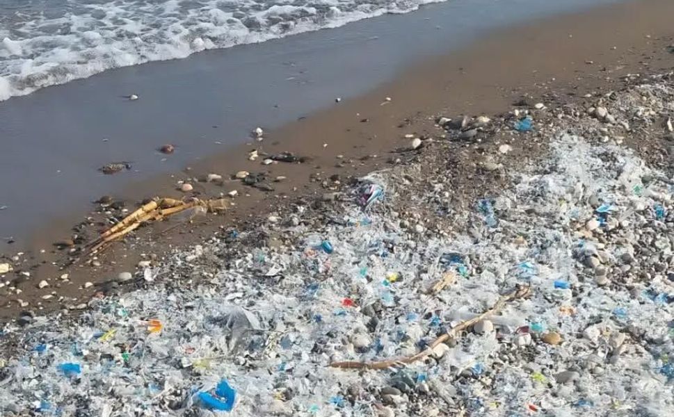 Mersin Çevre Platformu plastik atıkla mücadeleyi büyütüyor