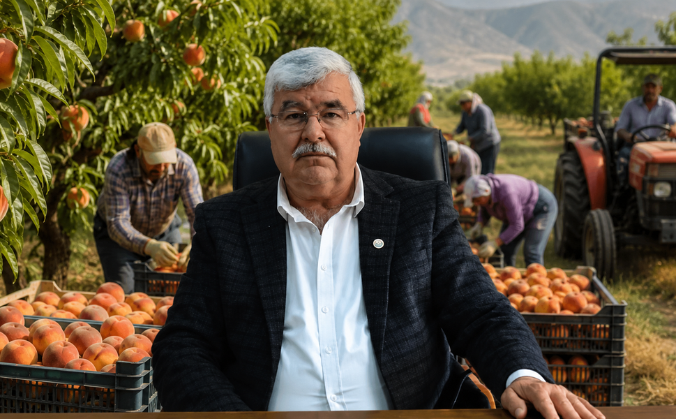 Yılmaz: “Operasyon, tarıma zarar verdi”