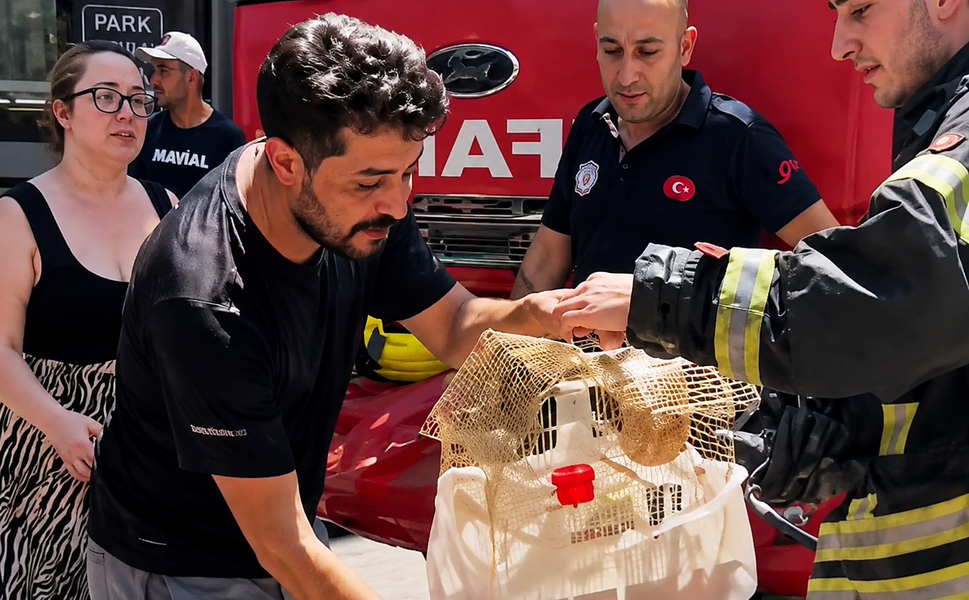 Alevlerin ortasında kalan cennet papağanını dumandan çekip aldılar